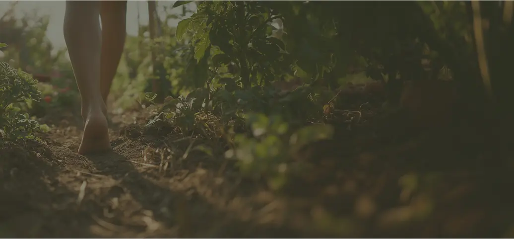 A person walking through a garden